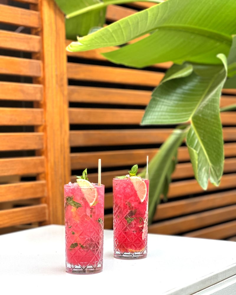 Two glasses of iced pink hibiscus tea sit near a leafy plant.