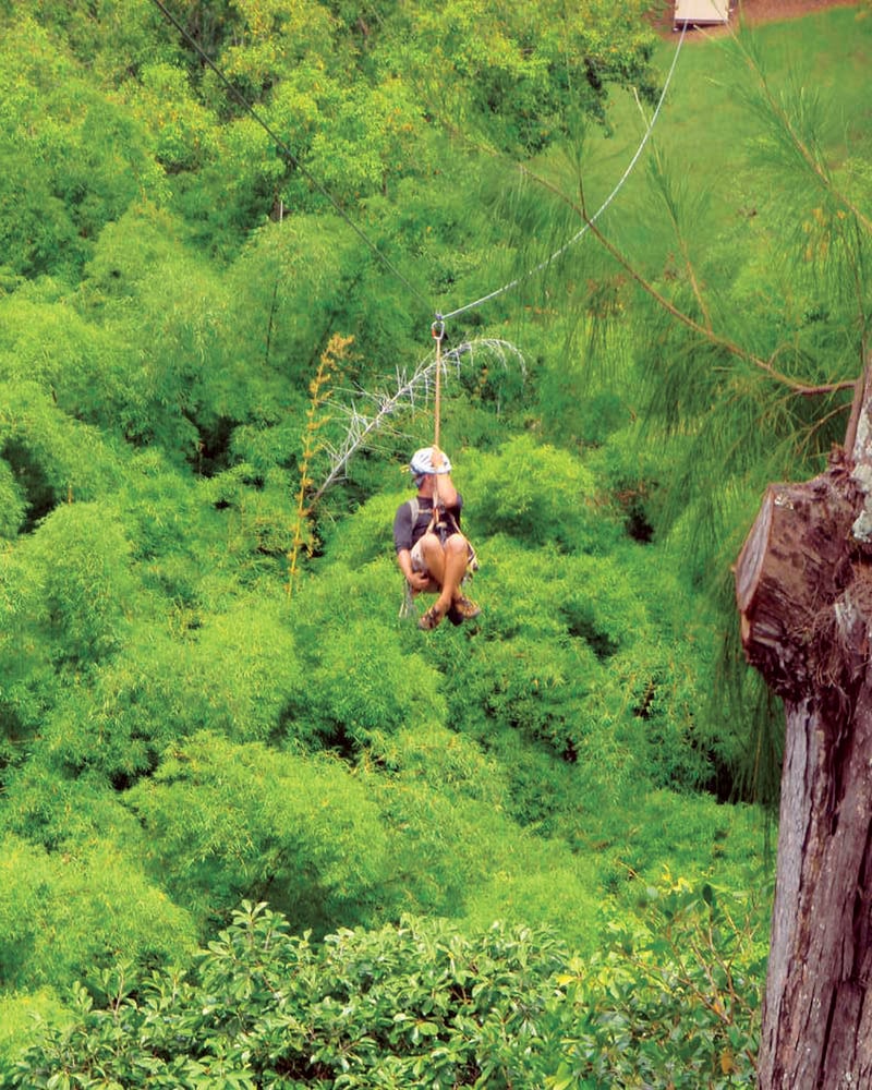 A person rides a zipline over the green forests of Kauai’s Haupu Mountains.