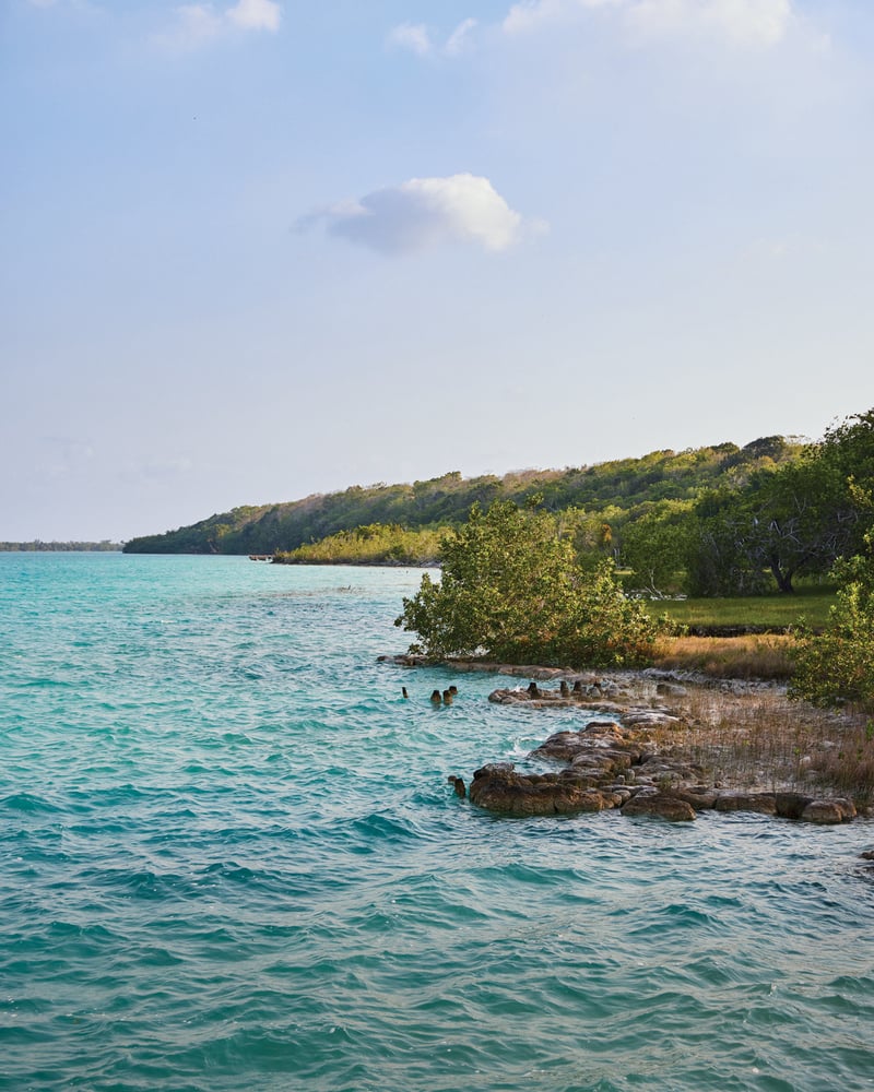 Lake Bacalar’s coastline on a windy day.