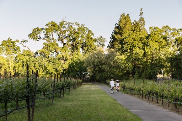 estateatyountville_580x386