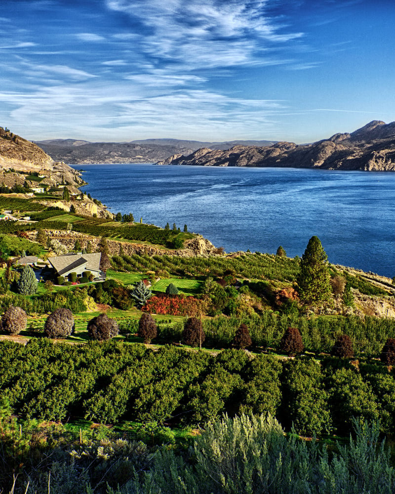 An aerial view of British Columbia’s Okanagan Valley, featuring terraced vineyards, lush green trees, and Okanagan Lake.