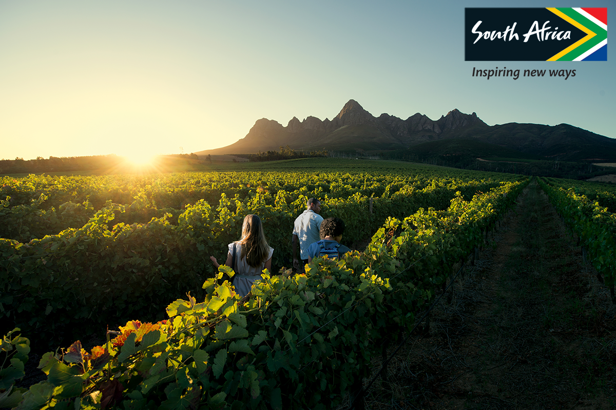 Image of three travelers walking through a vineyard at sunset.