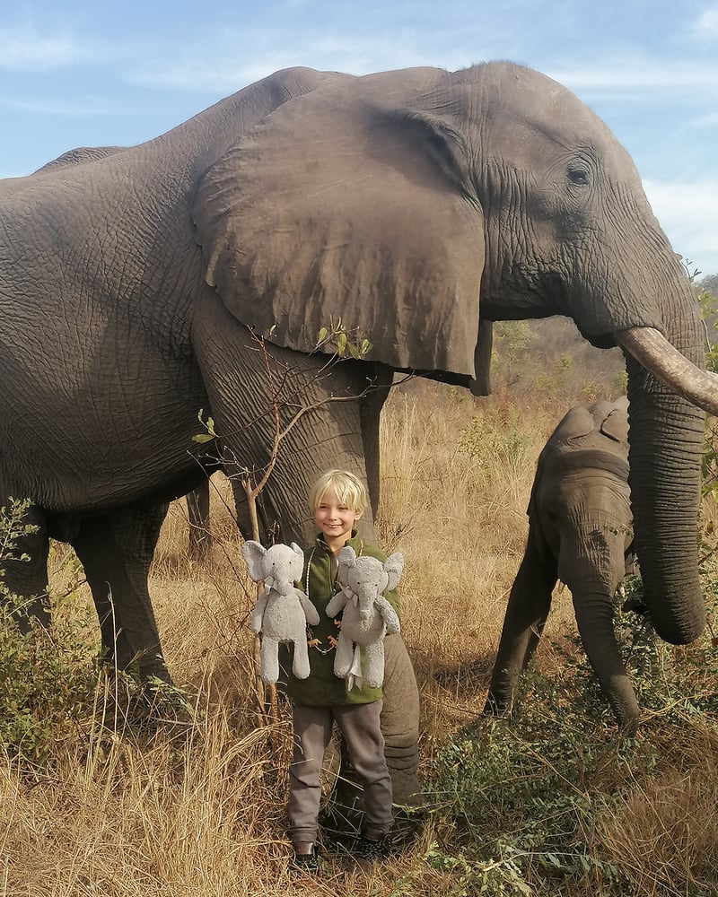 A young child holding two stuffed elephants stands near an elephant and calf in the wild.
