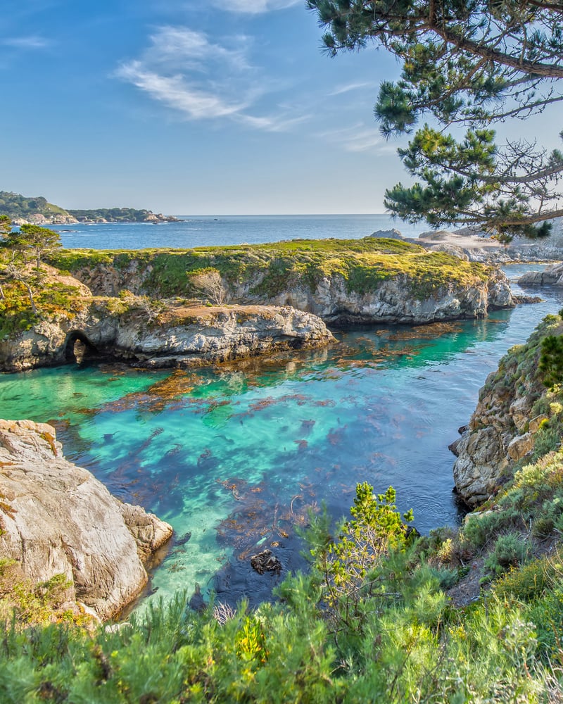 Rocky cliffs overlook the Pacific Ocean at Point Lobos State Natural Reserve.