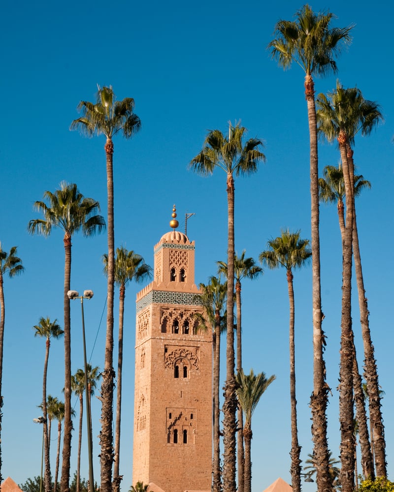 Koutoubia, Marrakech’s largest mosque, surrounded by palm trees and blue sky.