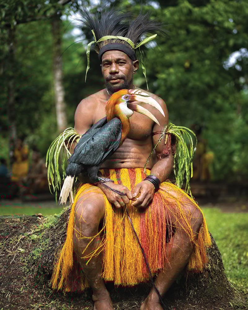 A Papua New Guinea man sits with a Blyth’s hornbill on his lap.