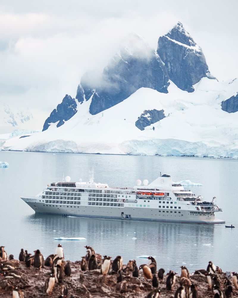 Silversea's Silver Wind ship sails past a mountain in Antarctica, in front of a family of penguins.