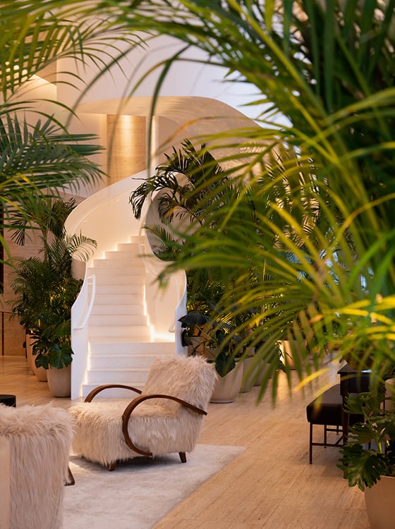 The Tampa EDITION