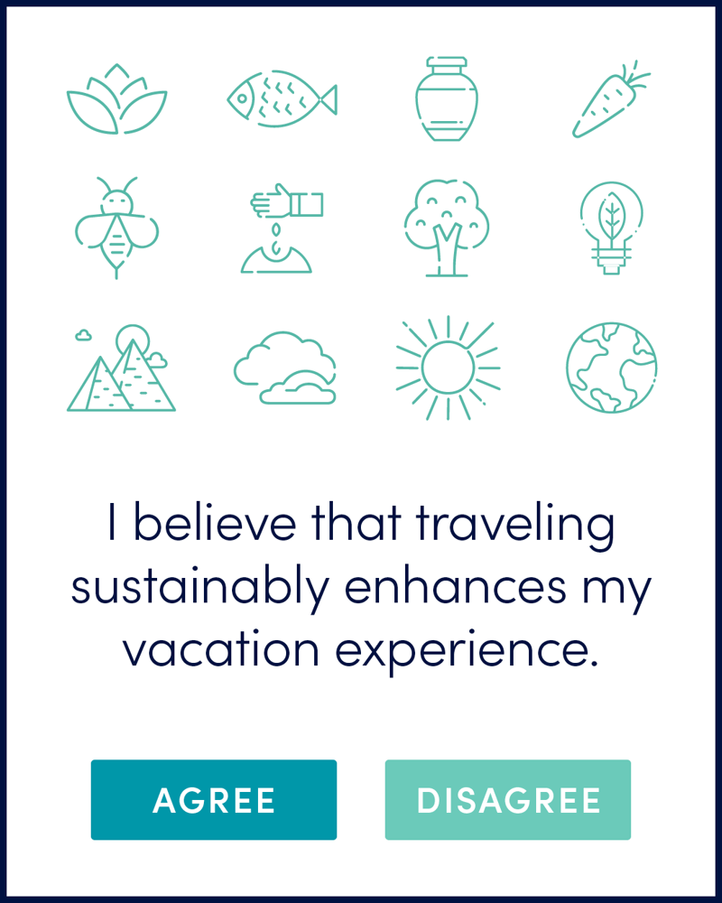 Illustrations of green images such as a fish, sun, bee, and tree; text reads Flash Poll Sustainable Travel.