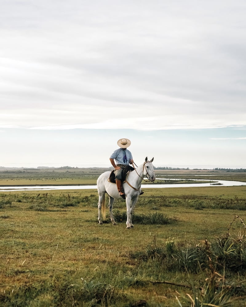 A gaucho sits on a white criollo horse on the pampas at Estancia Vik in José Ignacio, Uruguay.