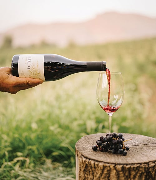 A hand at the edge of the frame pours wine from a bottle into a wine glass sitting on a tree stump.