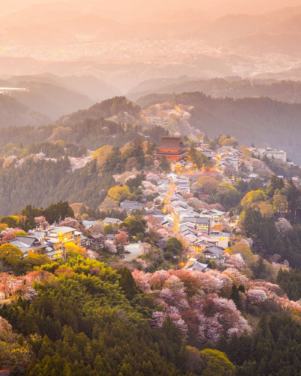 An overhead shot of Japan’s Mount Yoshino in spring. Pink cherry blossoms stand out between buildings and the green forest.