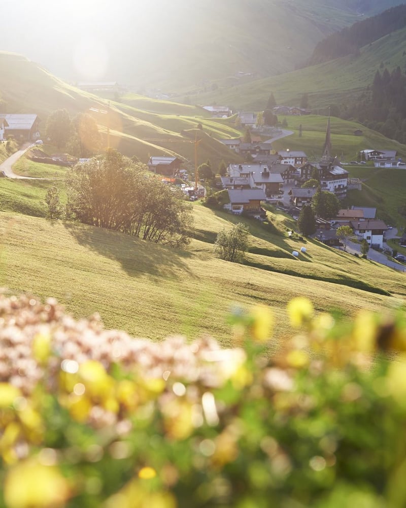 Flowers in the foreground with the Swiss hillside village of Saint Antonien in the background.