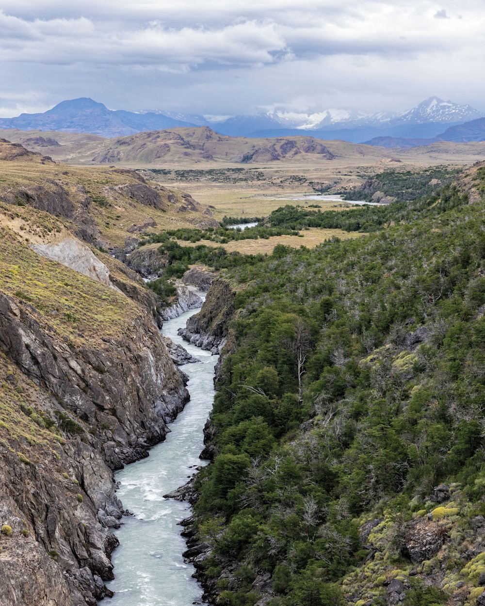 Patagonia’s Río Chacabuco runs through a rocky ravine covered with green trees, with blue mountains in the distance.