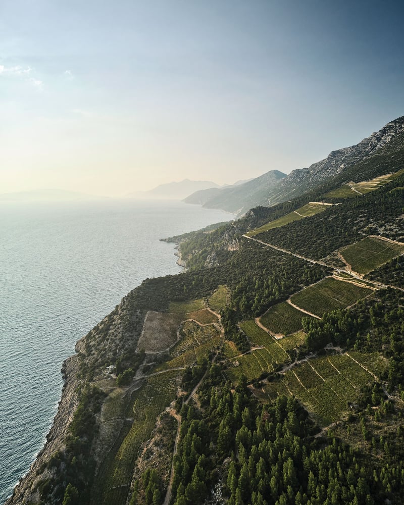 A coastline of forests and vineyards on a Croatian peninsula on a hazy day.